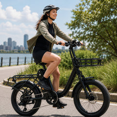 AOVO C2 Pro Cargo E-Bike | Cheap practical Cargo E-Bike, ship from France, unsupport ship to France