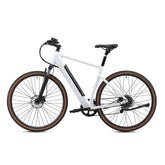 AOVO H700 electric bike