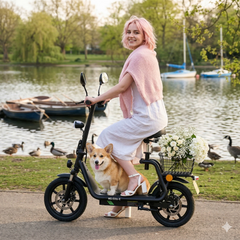 TWOFISH M5 Elite: EEC-Certified Foldable Ebike with Basket – Effortless Commuting for EU Riders